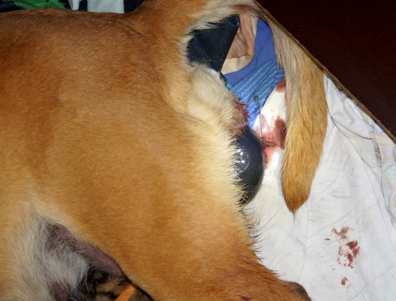 Die Geburt der kleinen F